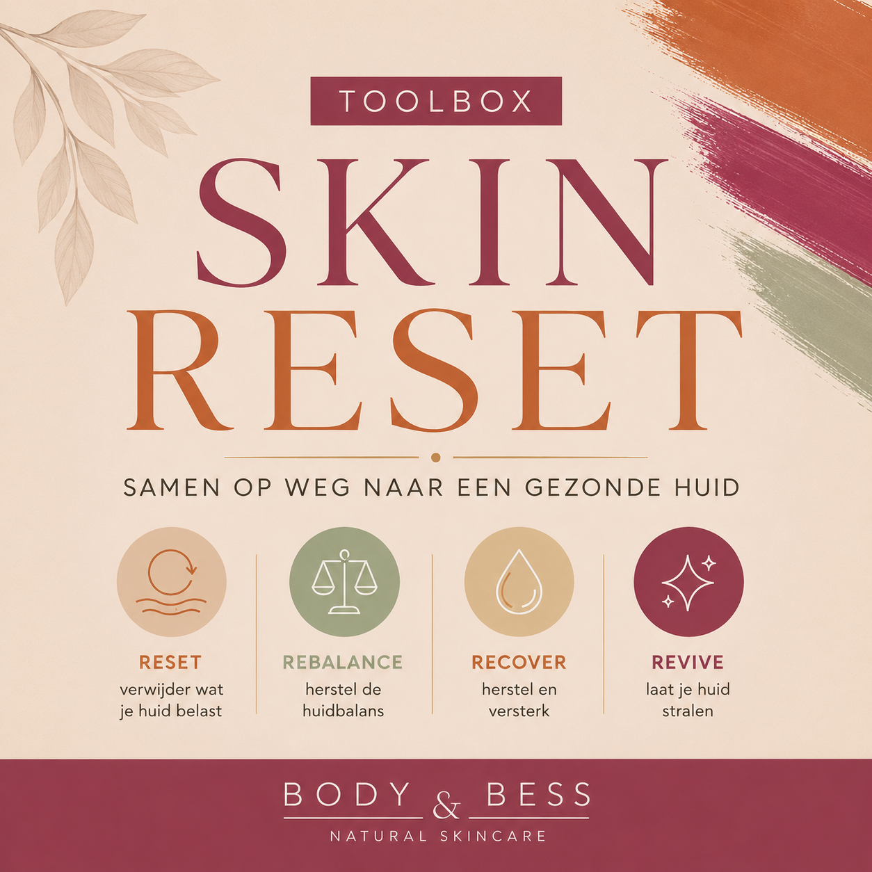 Skin Reset toolbox